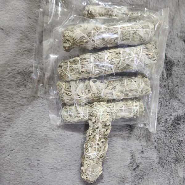 Sage : Holy Herb - Image 2